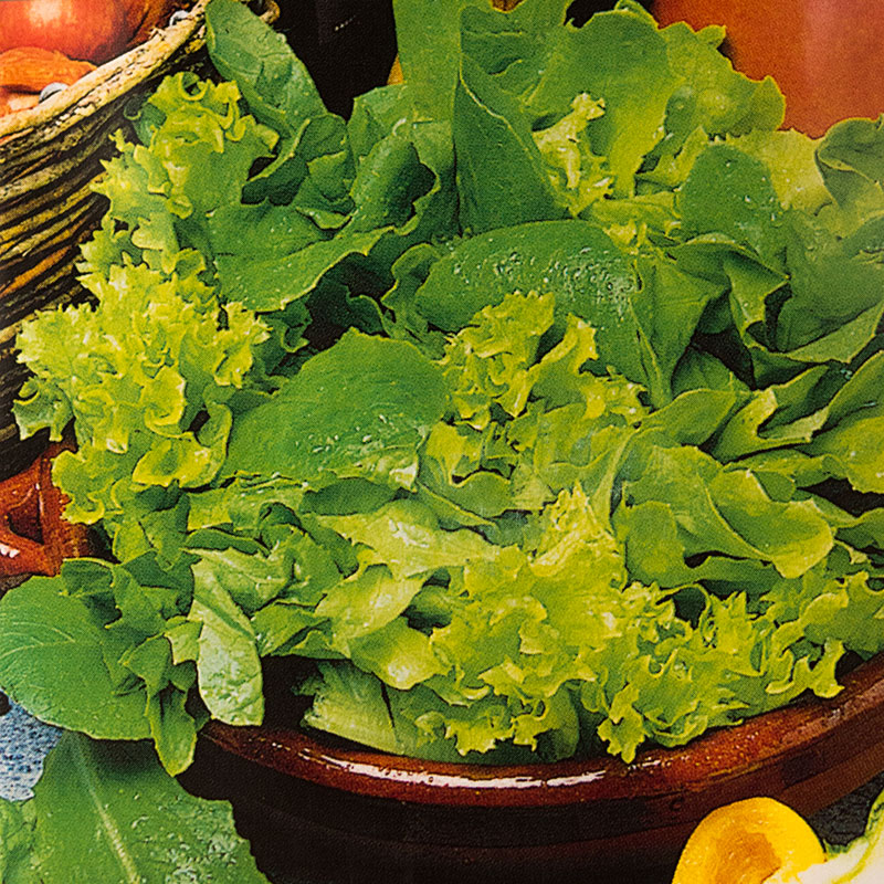 Frö till Sallad LETTUCE Mixed Green Leaves Wexthuset