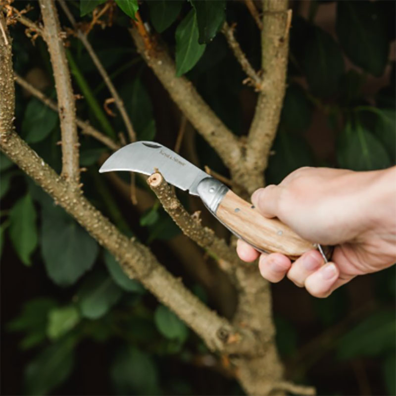 Beskärning av gren med beskärningskniv