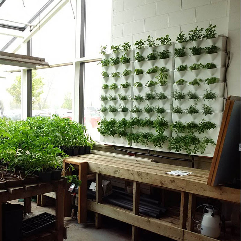 Väggodling inomhus med minigarden vertical växtvägg