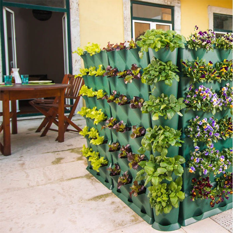 Växtodlings på balkongen med minigarden väggodlingssystem