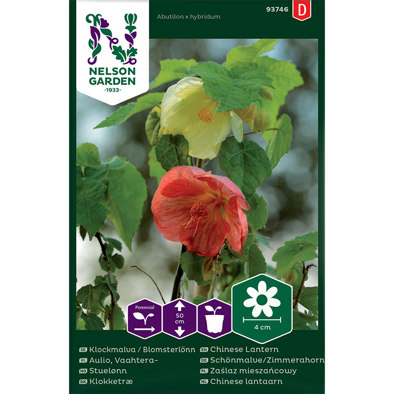 Klockmalva / Blomsterlönn, mix