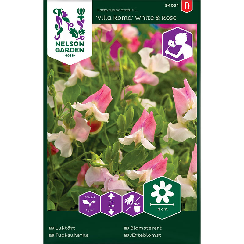 Luktärt 'Villa Roma White & Rose'