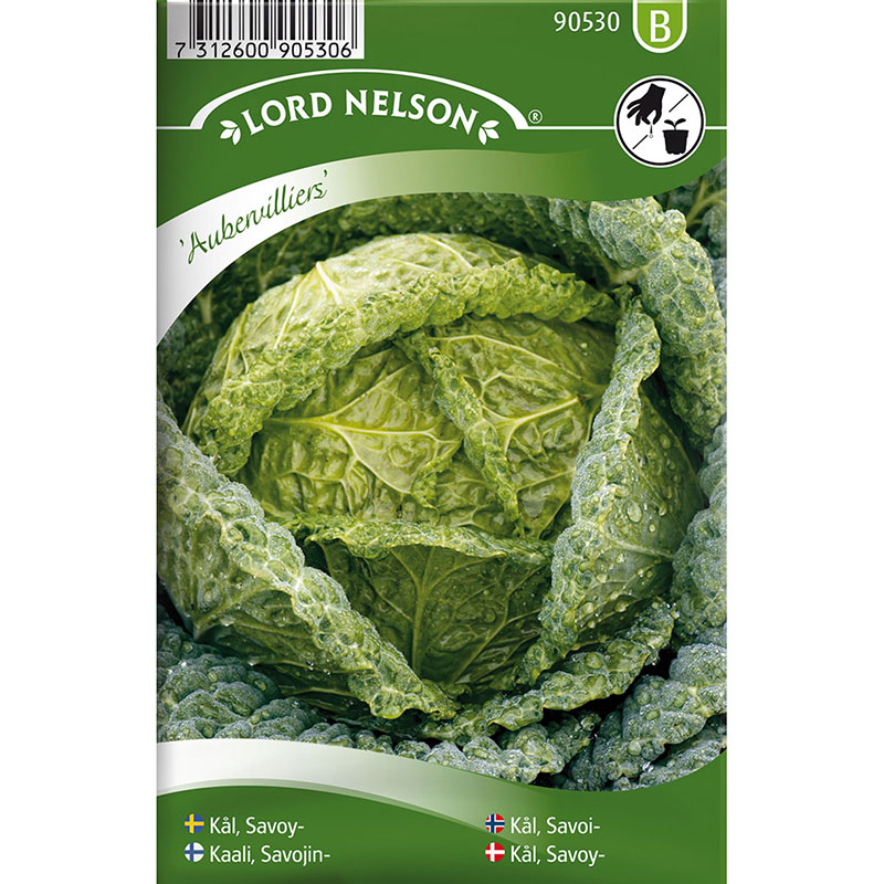 Frö till Savojkål, Brassica oleracea 'Aubervilliers'