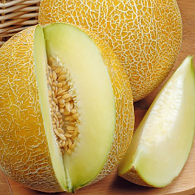 Frö till Melon Emir Wexthuset