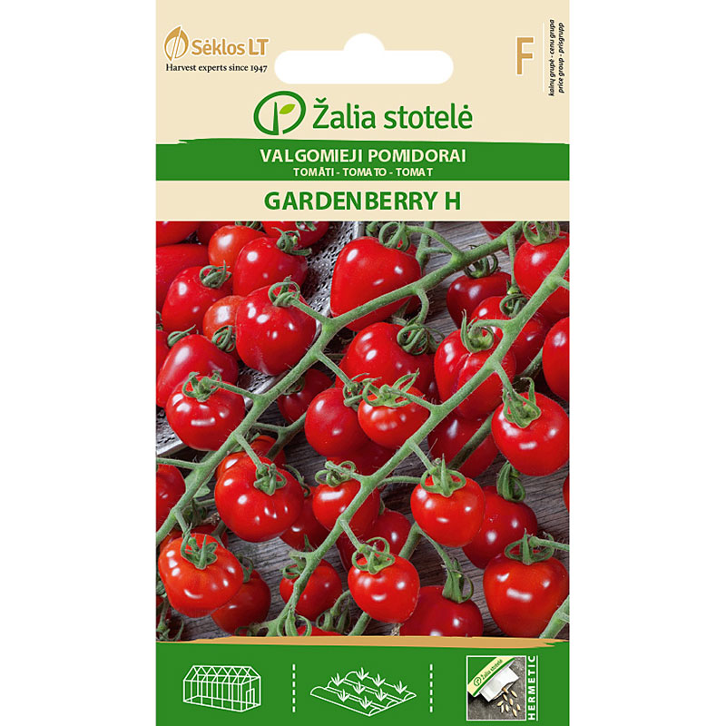 Fröer till Tomat ’Gardenberry’ F1