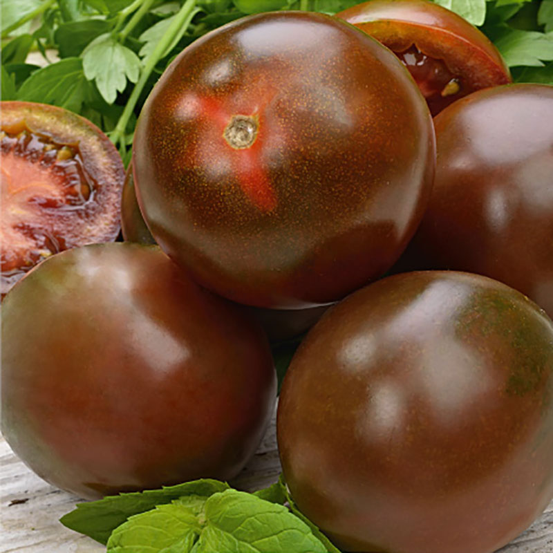 Fröer till Tomat, Solanum lycopersicum L. ’Sacher’ F1