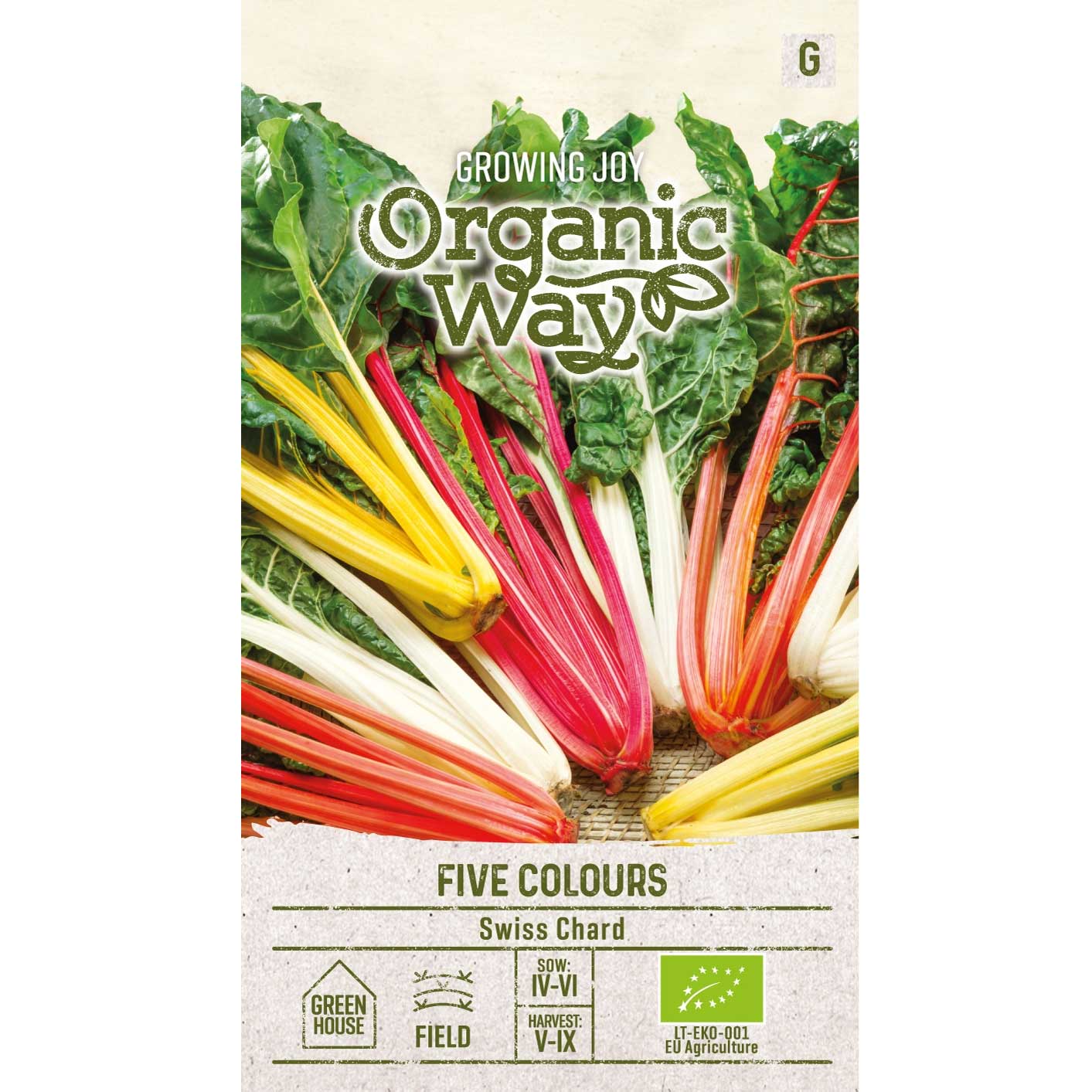 mangold 'five colours', ekologisk
