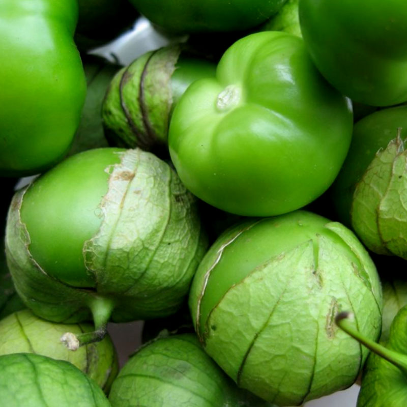 Frö till Tomatillo, Verde Wexthuset
