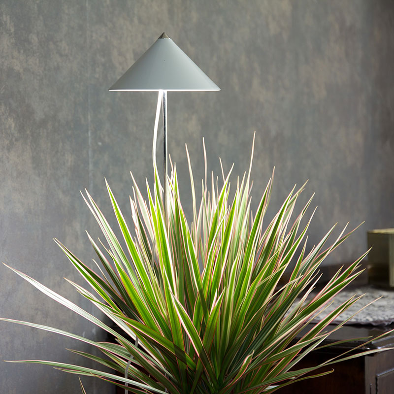 Sunlite växtlampa XL till palmväxt