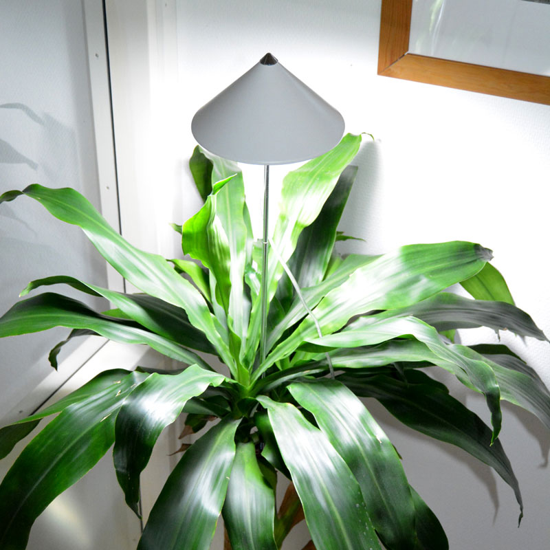 Sunlite växtlampa XL, för större växter i kruka