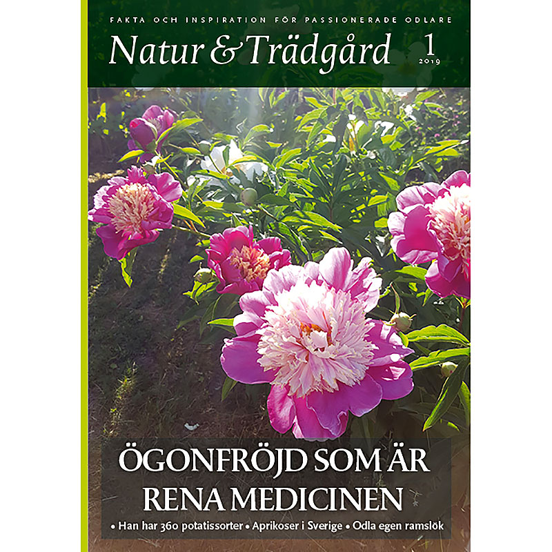 Tidning Natur & Trädgård 1-2019