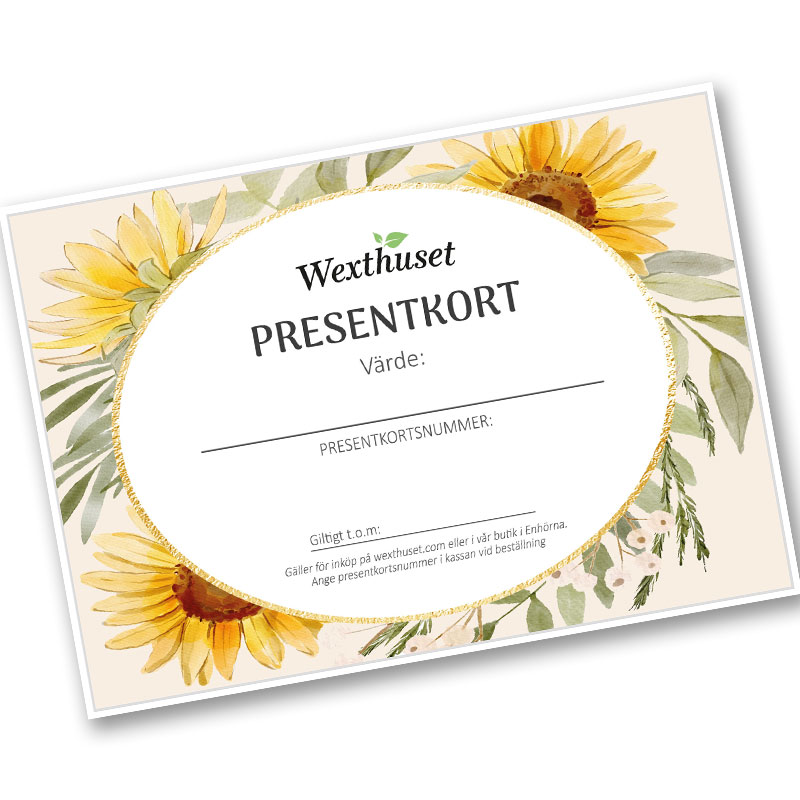 Presentkort Wexthuset 500 kr via E-post 