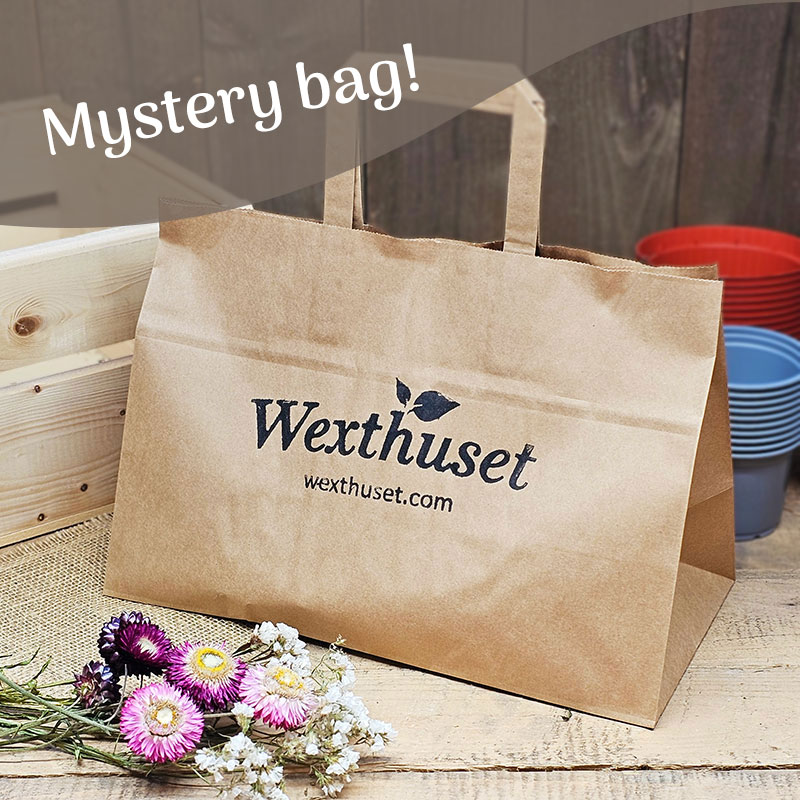 Mystery Bag
