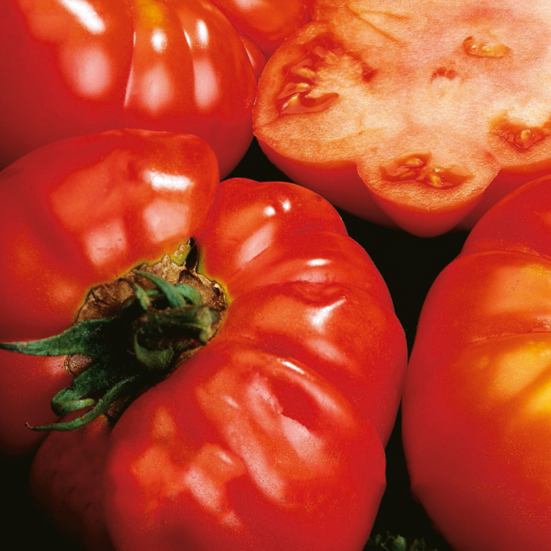 Tomat ’Costoluto Fiorentino’ #