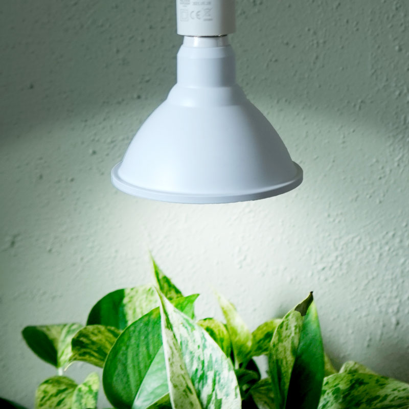 Primula Nova Indoor LED 16 W, vit