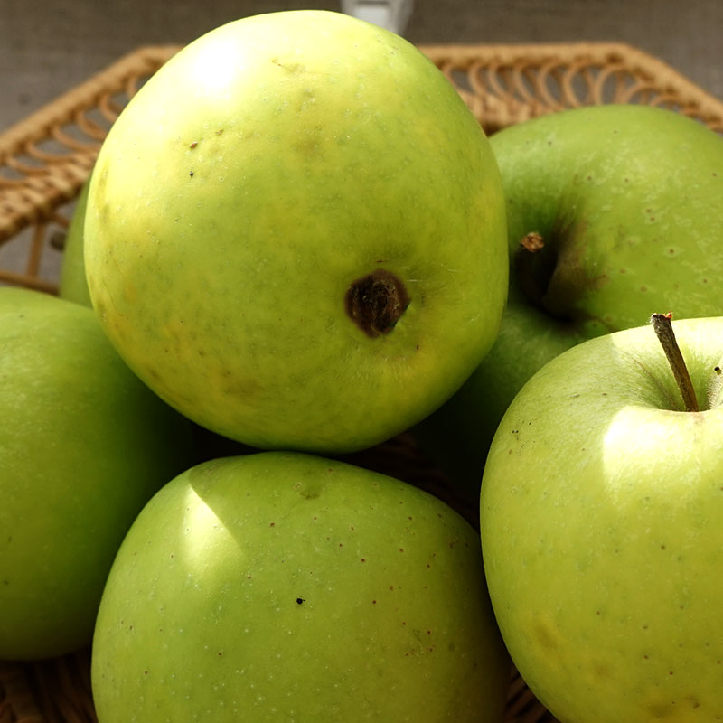 Wexthuset Ympris äpple ’Galoway’