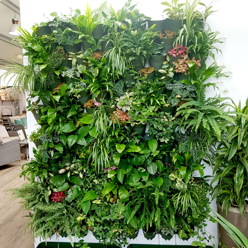 Bygga växtvägg inomhus Bygga växtvägg inomhus